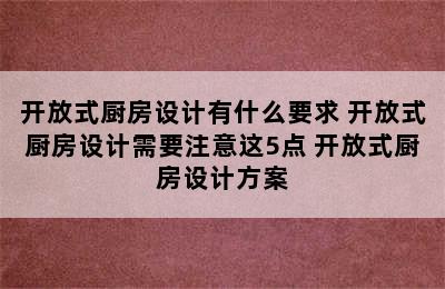 开放式厨房设计有什么要求 开放式厨房设计需要注意这5点 开放式厨房设计方案